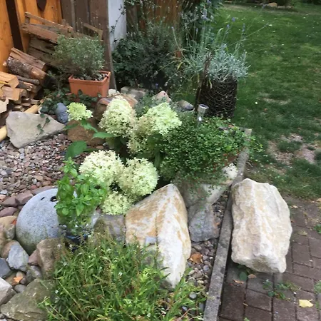 Ferienparadies In Traumlage Tinyhouse Mit Bach Im Gruenen Im Weserbergland Baentorfer Strasse 5 Nicht 30 *